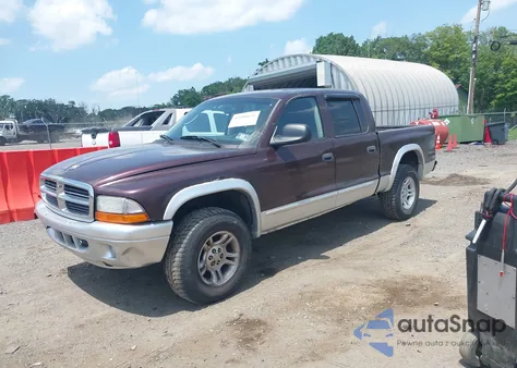 2004 Dodge Dakota Slt from USA, damaged, VIN 1D7HG48NX4S649522